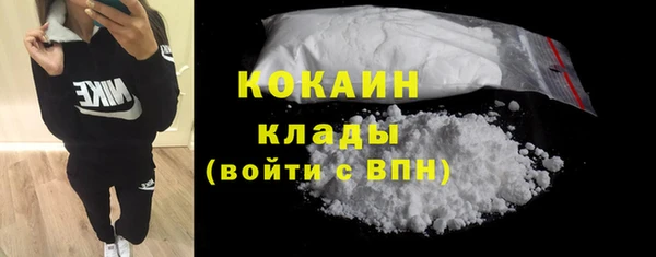 соль ск Алексин