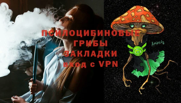 ГАЛЛЮЦИНОГЕННЫЕ ГРИБЫ Алзамай
