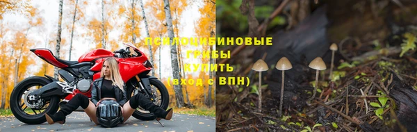 дурь Абинск