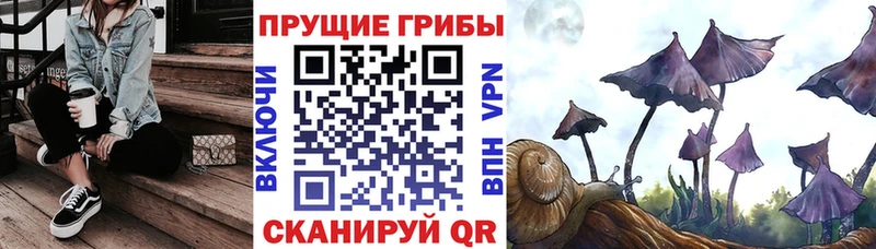 Галлюциногенные грибы Magic Shrooms  где продают   сайты даркнета формула  Чайковский 